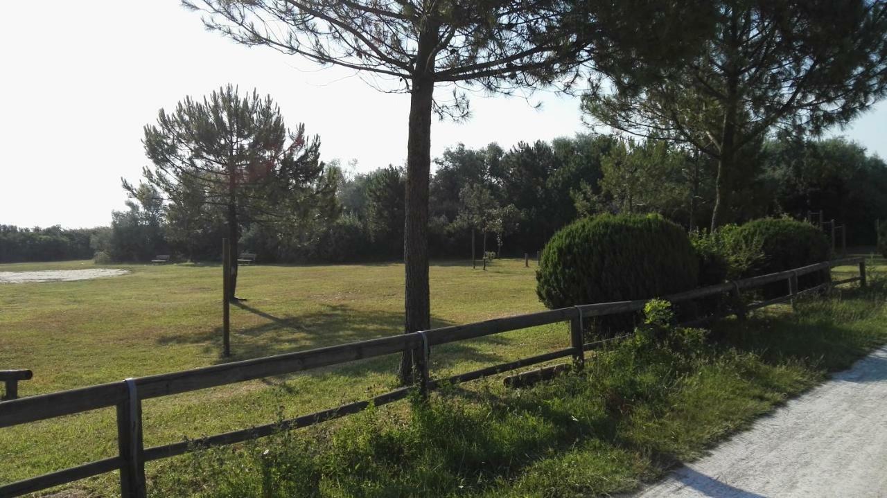 Residence Adriatico Lido Adriano Dış mekan fotoğraf